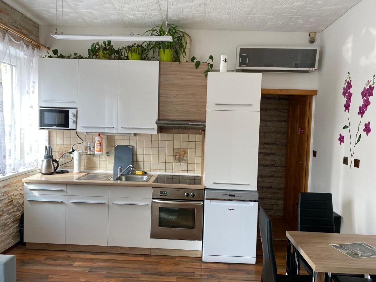 Apartment Hlinská Ceske Budejovice Eksteriør bilde